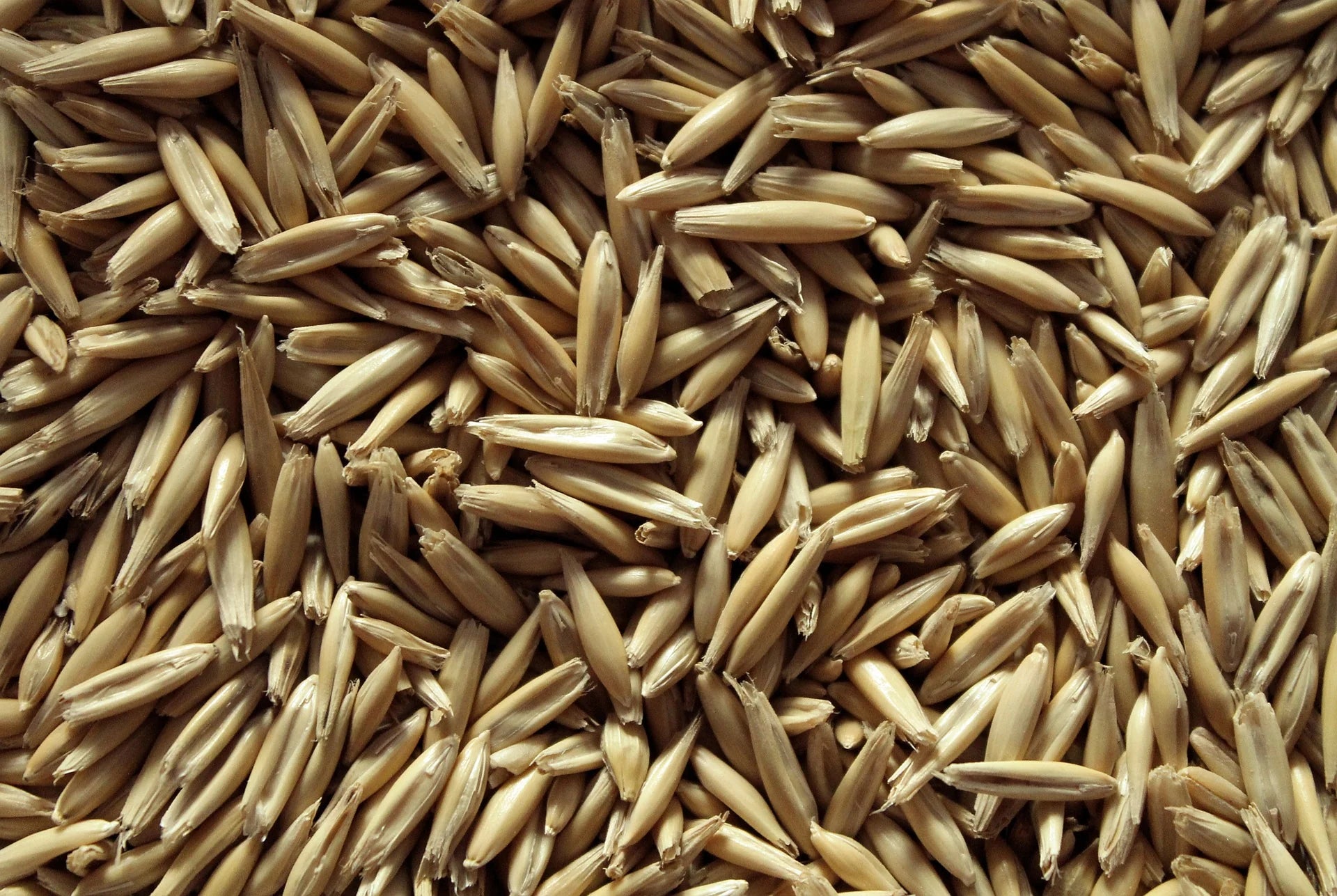 Hydrolyzed oat protein