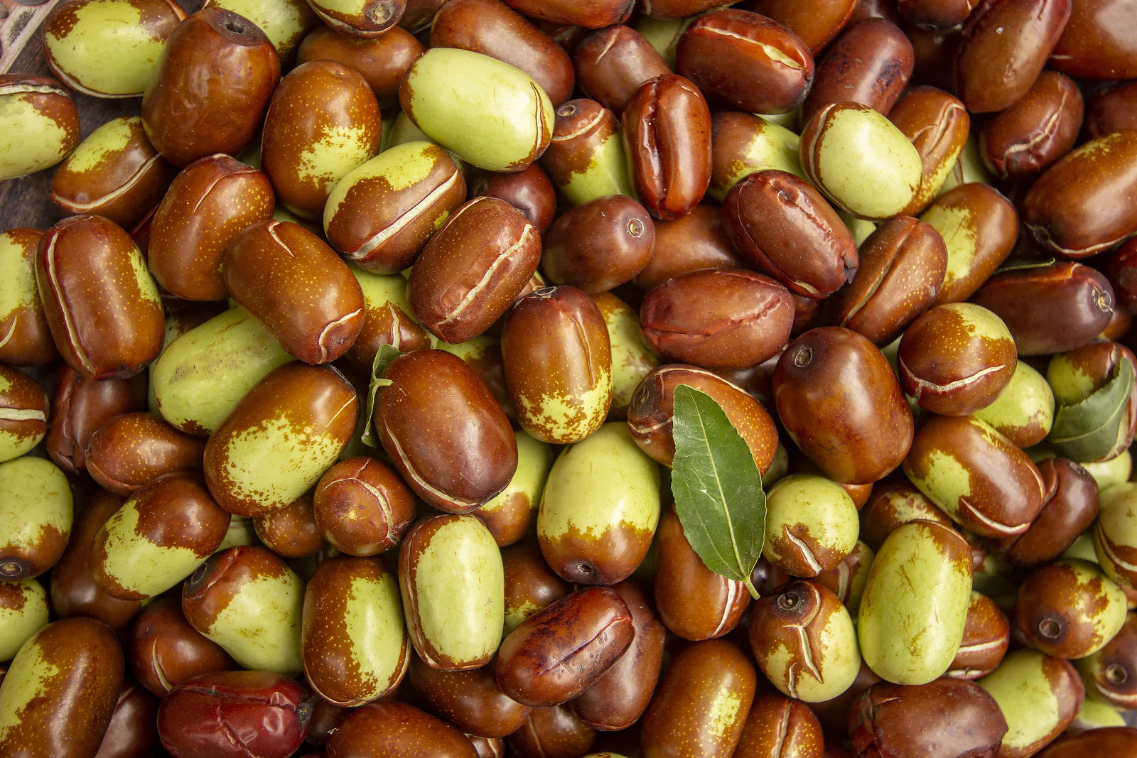 Simmondsia chinensis (jojoba) seed oil